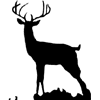 Buck