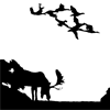 Bull Moose with Ducks Flying